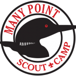 Many Point Logo